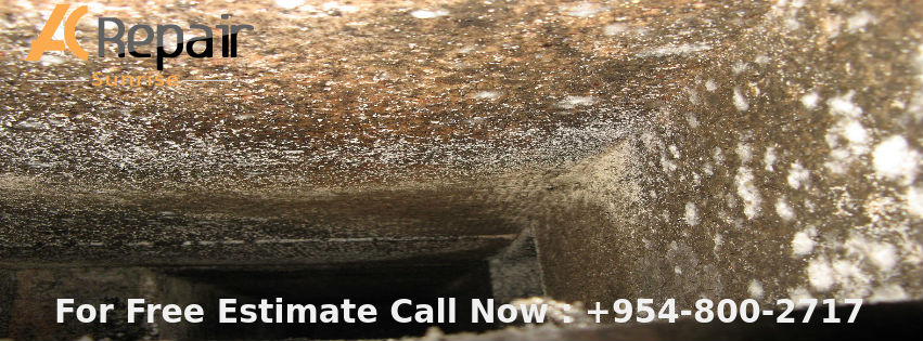 Pitfalls of the Mold Growth in the Ductwork System